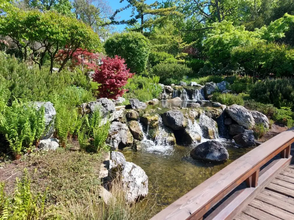 setagayapark wasserfall 