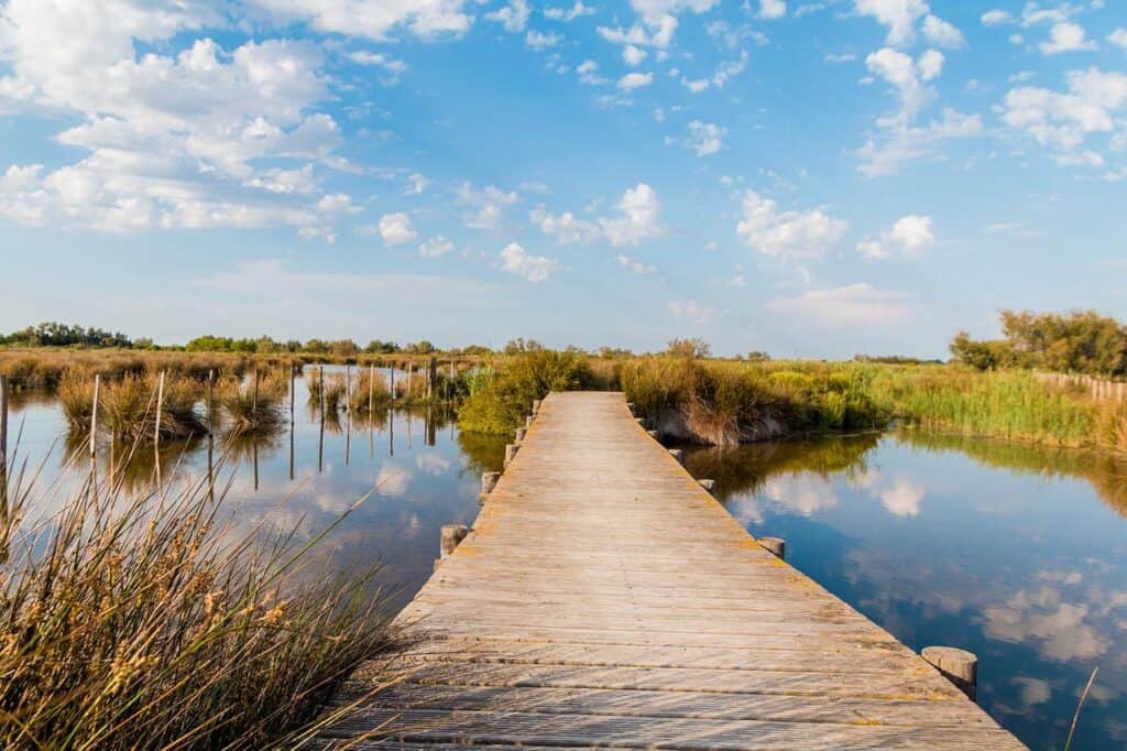 Südfrankreich Camargue