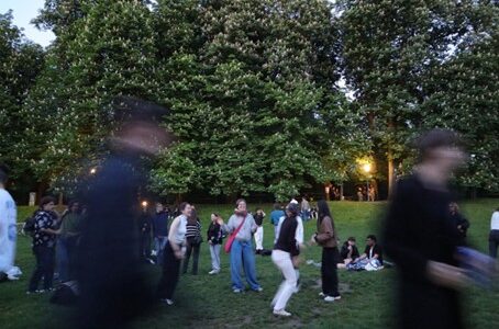 Menschen auf einer Wiese.